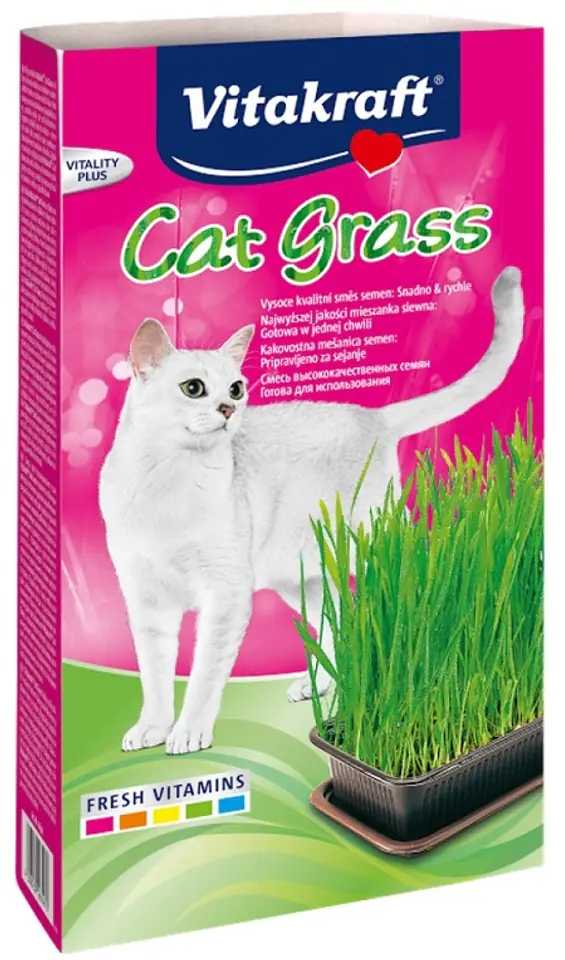 ⁨VITAKRAFT CAT GRASS set 120g d/kota⁩ at Wasserman.eu