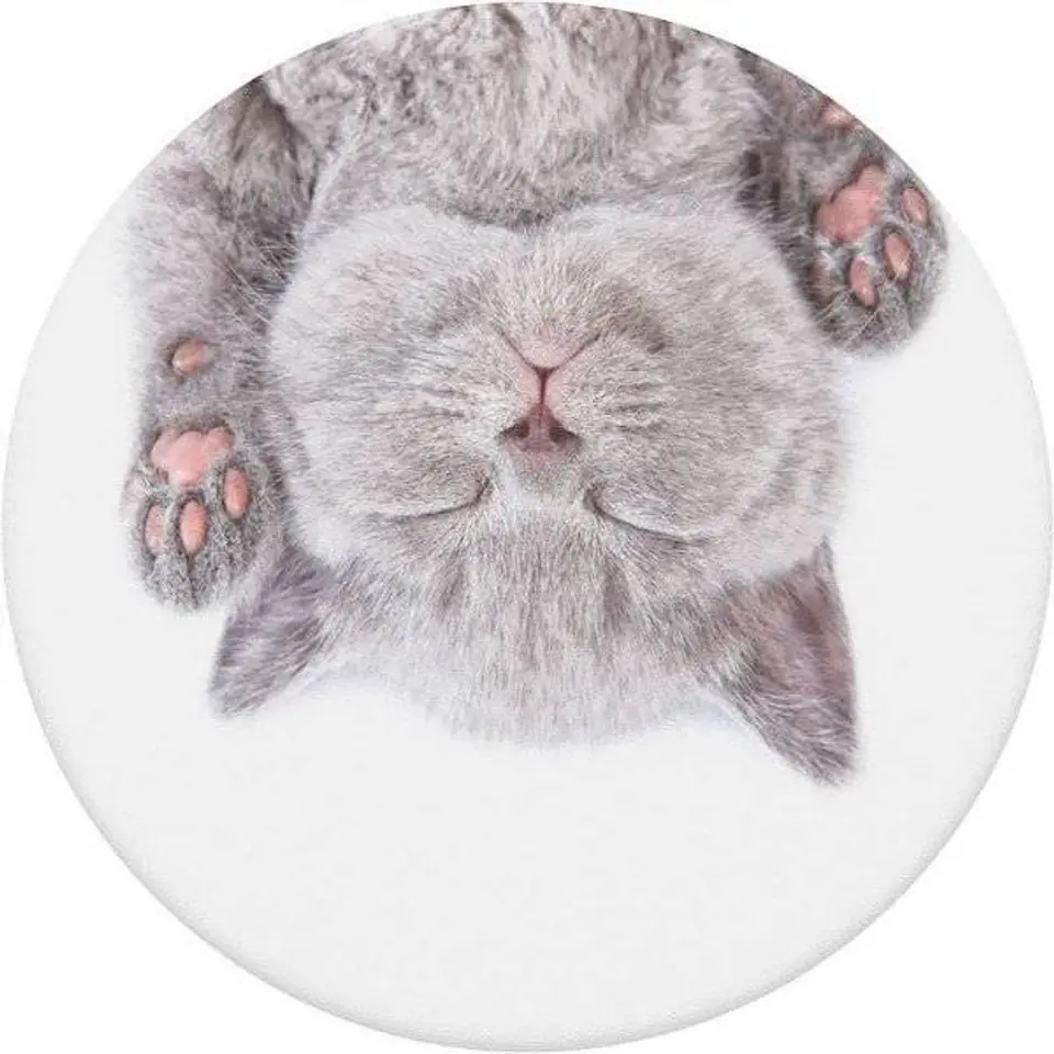 ⁨POPSOCKETS Standard Cat Nap Phone Holder⁩ at Wasserman.eu