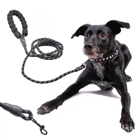 ⁨Dog leash on a rope durable reflective 3m⁩ at Wasserman.eu
