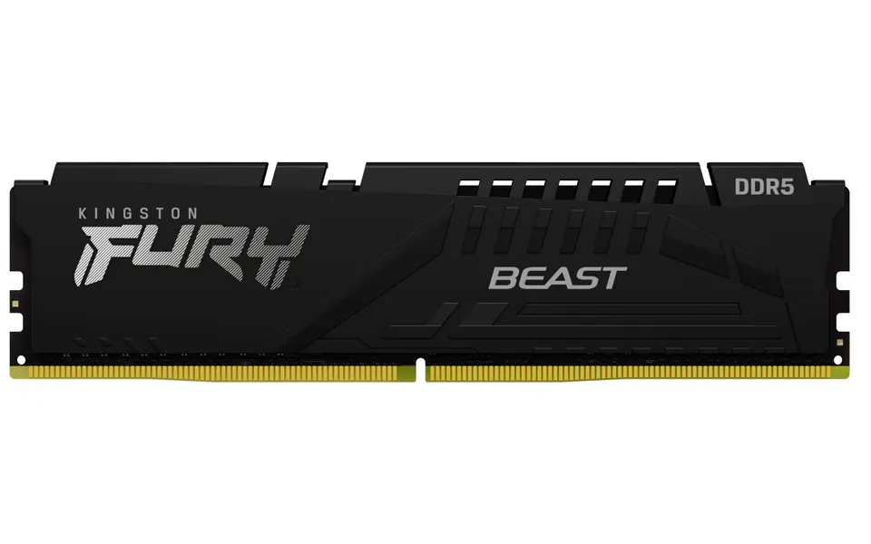 ⁨Pamięć DDR5 Fury Beast Black 16GB(1*16GB)/5600 CL36 EXPO⁩ w sklepie Wasserman.eu