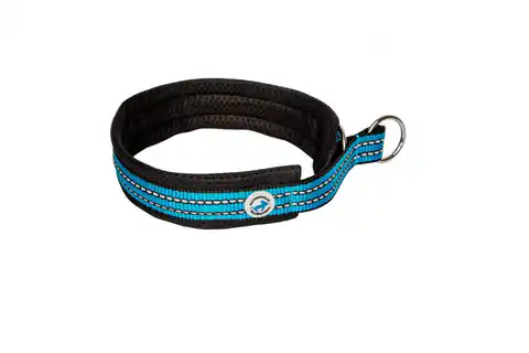 ⁨ALL FOR DOGS Sports semi-clamping collar Blue 50⁩ at Wasserman.eu