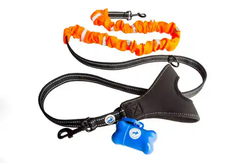 ⁨ALL FOR DOGS Safe sports leash with handle⁩ at Wasserman.eu
