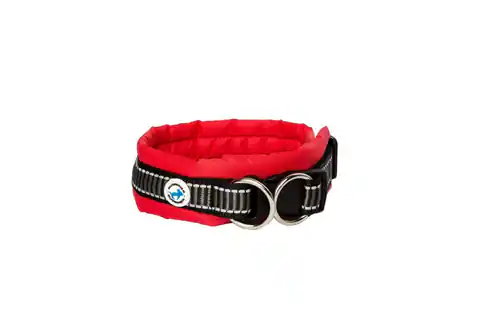 ⁨ALL FOR DOGS Classic collar Red L⁩ at Wasserman.eu