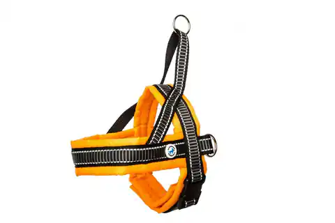 ⁨ALL FOR DOGS Classic Norwegian shoulder straps Orange 40⁩ at Wasserman.eu