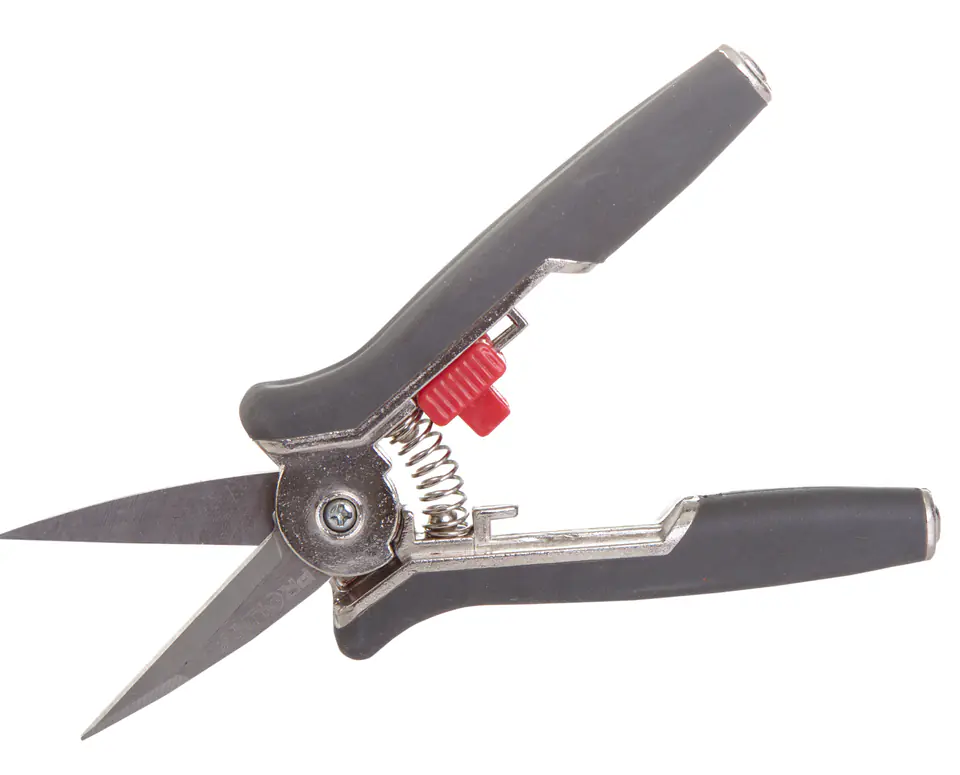 ⁨Flower pruner, 6", soft touch, proline⁩ at Wasserman.eu