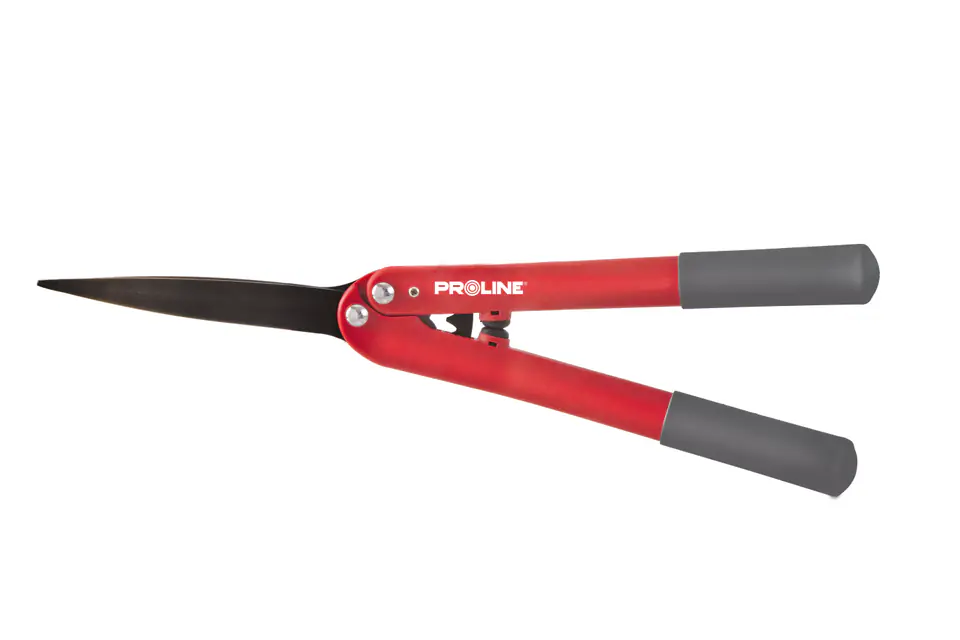 ⁨Hedge trimmers 65mn, nylon 580mm, proline⁩ at Wasserman.eu