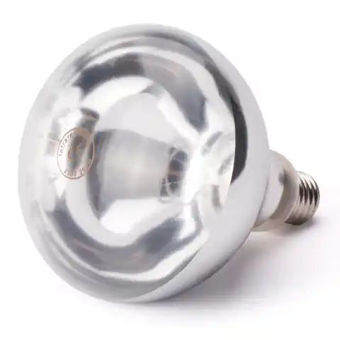 ⁨Infrared bulb for food heating lamp E27 250W white⁩ at Wasserman.eu