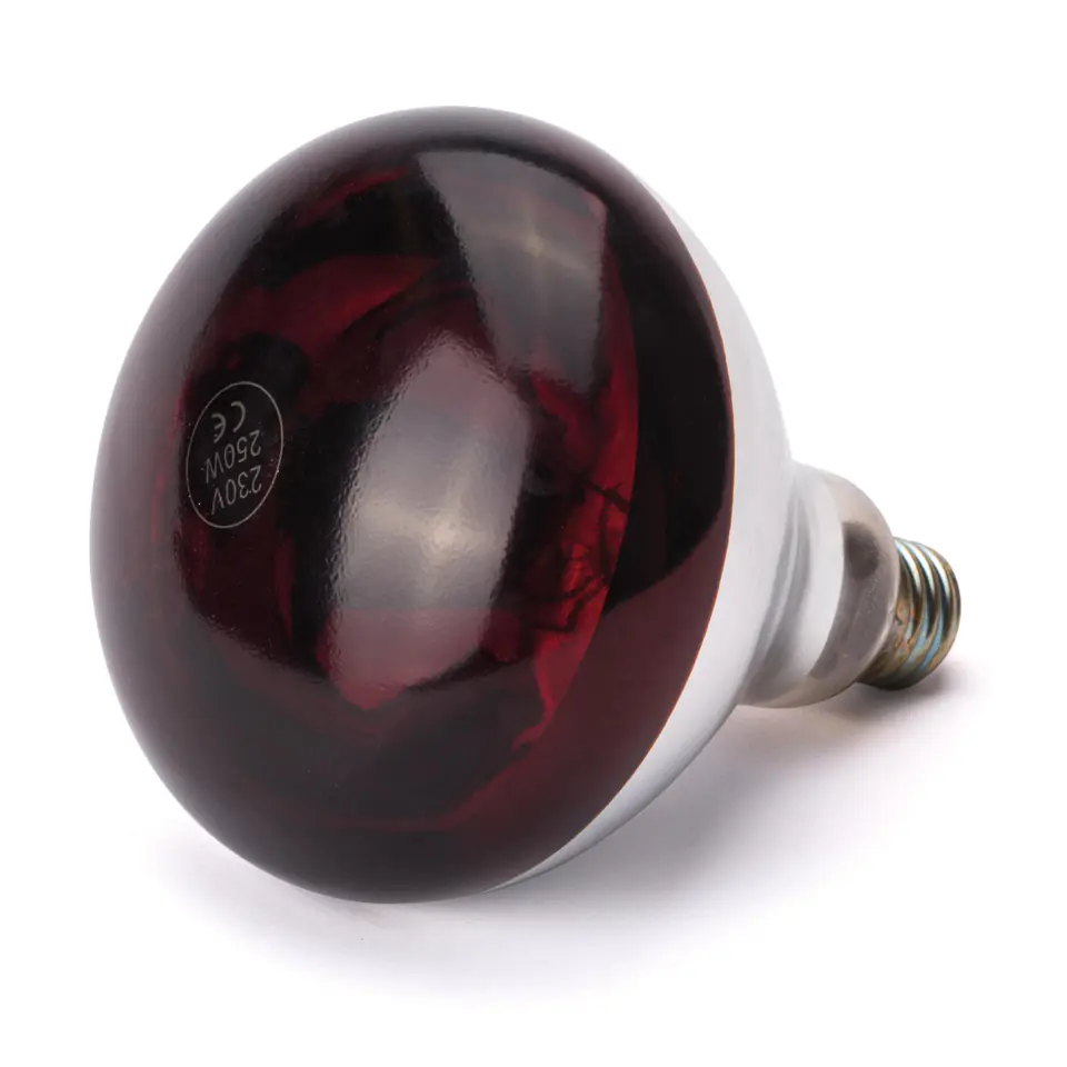 ⁨Infrared Bulb for Food Heating Lamp E27 250W Red⁩ at Wasserman.eu