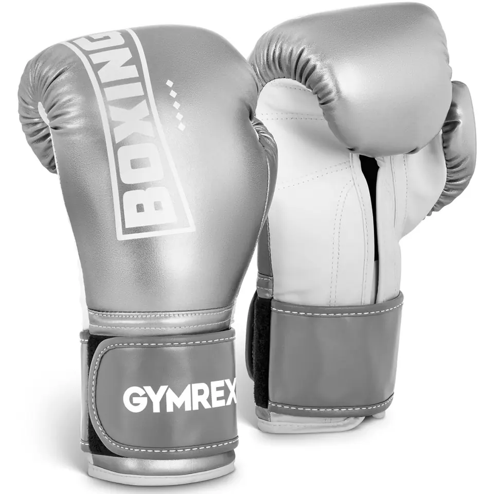 Boxing training gloves 12 oz silver at Wasserman.eu