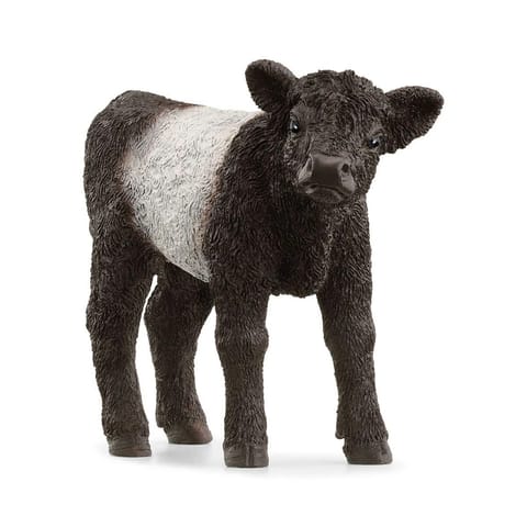 ⁨Figurine Galloway calf⁩ at Wasserman.eu