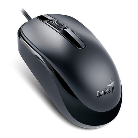 ⁨Mysz przewodowa, Genius DX-120, czarna, optyczna, 1200DPI, USB-C⁩ w sklepie Wasserman.eu