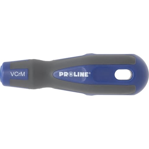 ⁨WKRĘTAK PHILLIPS NR2, L=100MM PROFESJ. "SOFT TOUCH"  PROLINE⁩ w sklepie Wasserman.eu