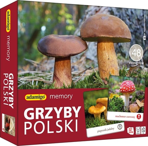 ⁨Gra Memory - Grzyby Polski⁩ w sklepie Wasserman.eu