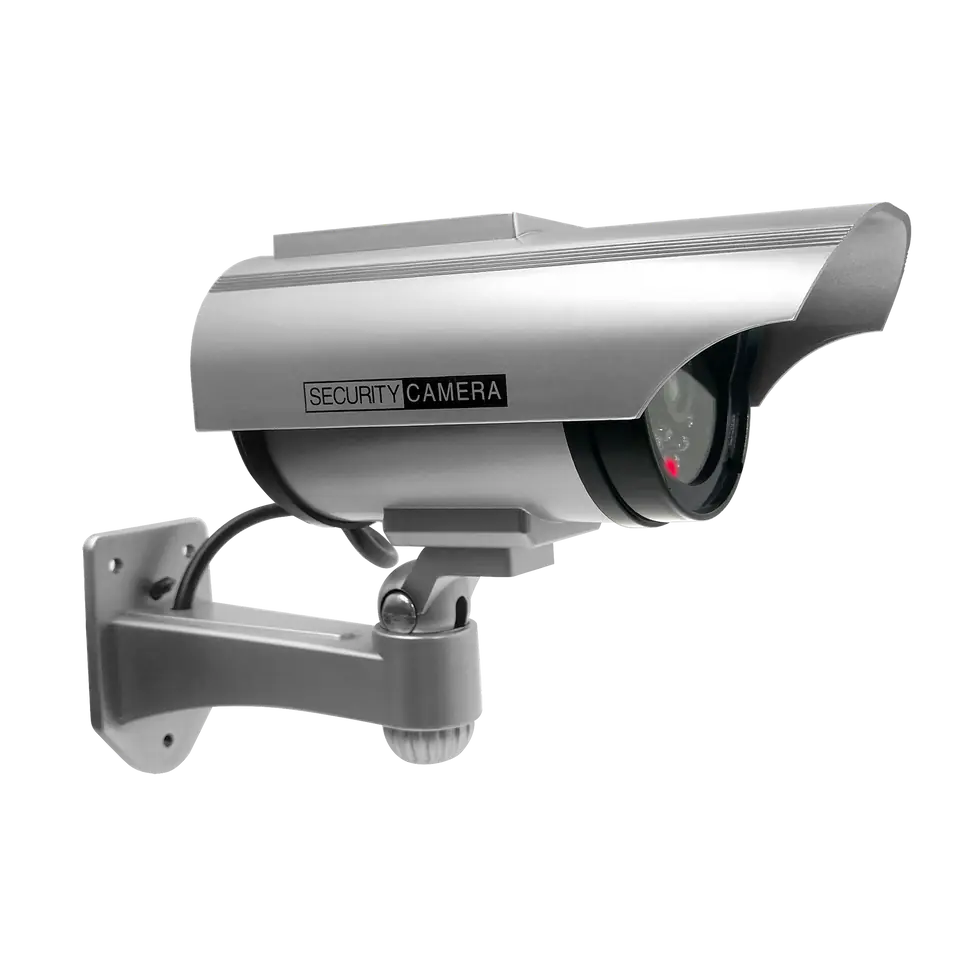 Atrapa kamery monitorującej CCTV z panelem solarnym w sklepie Wasserman.eu