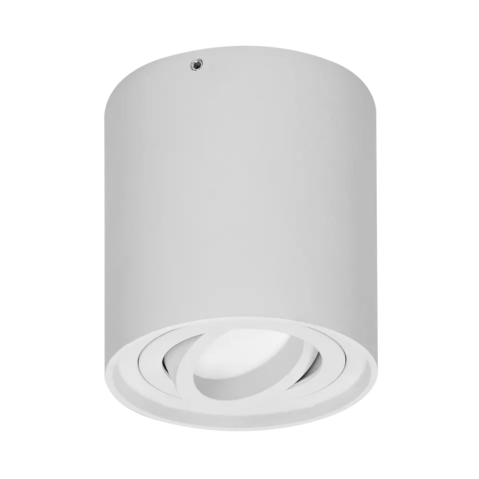 CAROLIN DLR GU10 downlight max 35W, IP20, round, white at Wasserman.eu