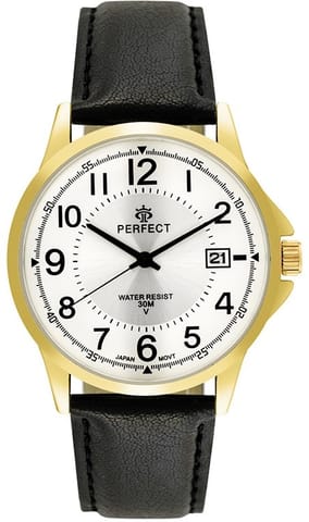 ⁨Zegarek Męski PERFECT C710T-09⁩ w sklepie Wasserman.eu