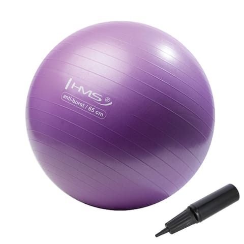 ⁨YB02 NEW 65CM PURPLE ANTI-BURST PIŁKA GIMNASTYCZNA HMS⁩ w sklepie Wasserman.eu