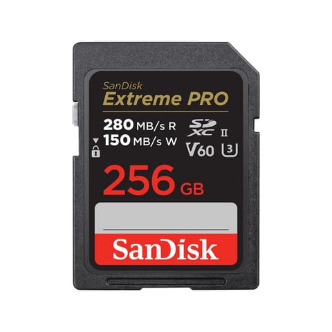 ⁨SDSDXEP-256G-GN4IN⁩ w sklepie Wasserman.eu
