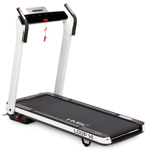 ⁨LOOP14 ELECTRIC TREADMILL HMS⁩ at Wasserman.eu