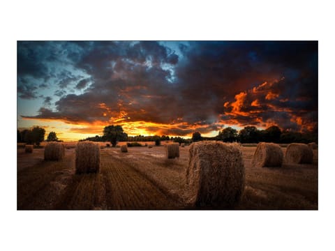 ⁨Samsung | VM55B-U | 55 " | Landscape/Portrait | 24/7 | N/A | 500 cd/m² | 8 ms | 178 ° | 178 °⁩ w sklepie Wasserman.eu