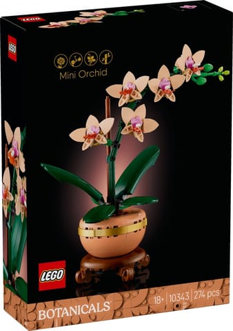 ⁨Blocks Botanicals 10343 Mini Orchid⁩ at Wasserman.eu