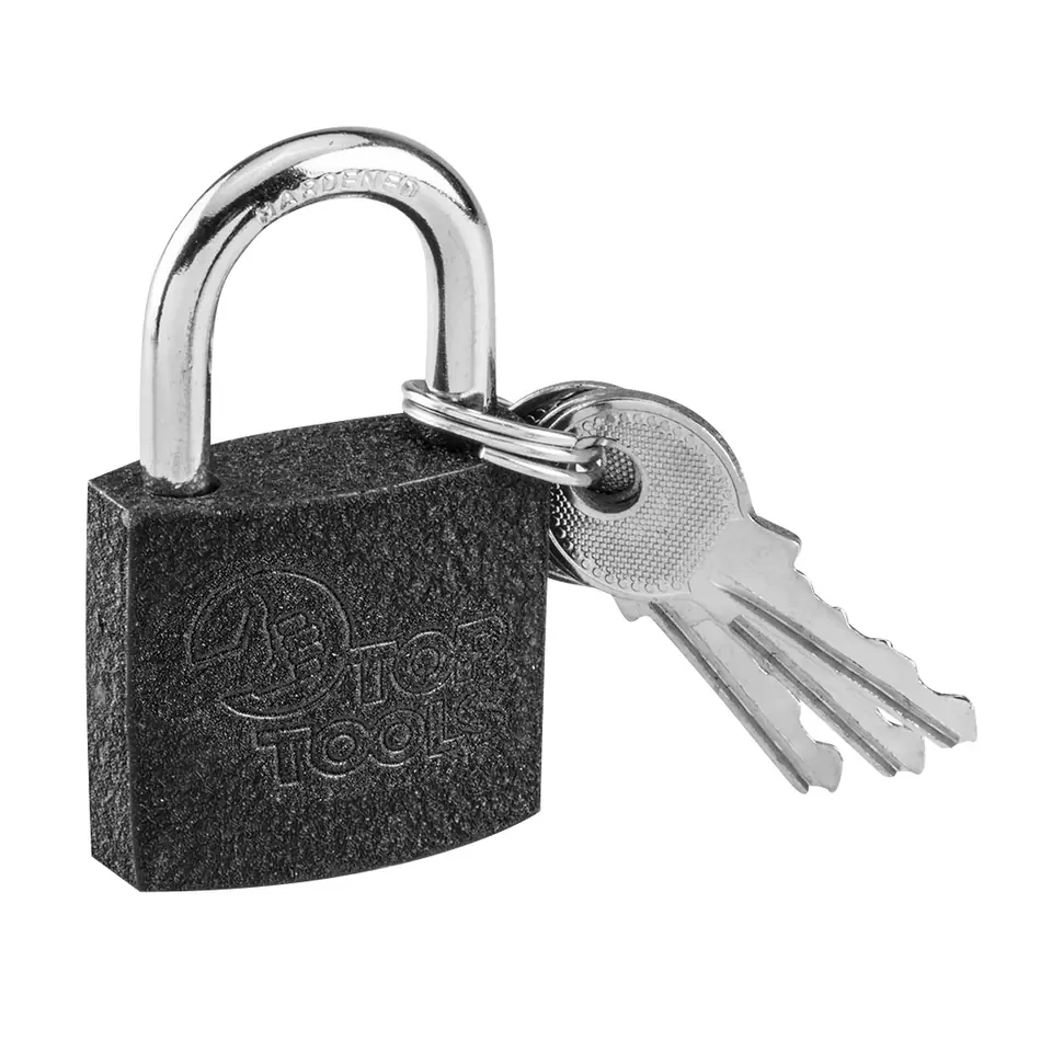 ⁨Padlock 30 mm, 3 keys⁩ at Wasserman.eu