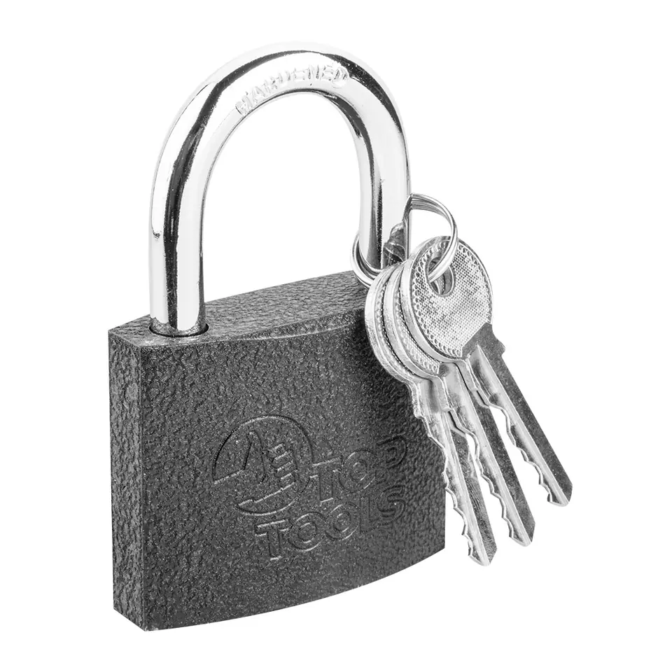 ⁨Padlock 60 mm, 3 keys⁩ at Wasserman.eu