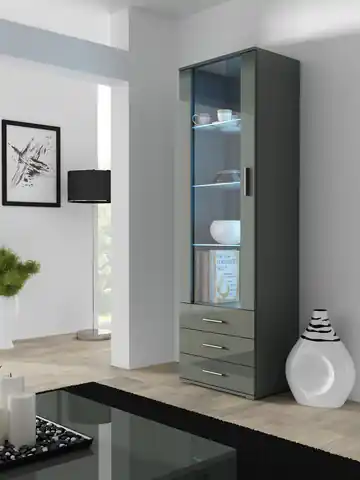 ⁨Cama display cabinet SOHO S1 grey/grey gloss⁩ at Wasserman.eu