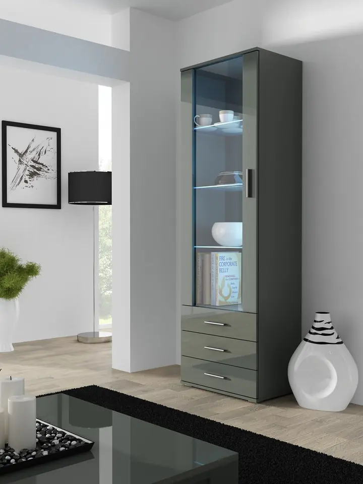 Witryna SOHO S1 szary/ szary połysk w sklepie Wasserman.eu