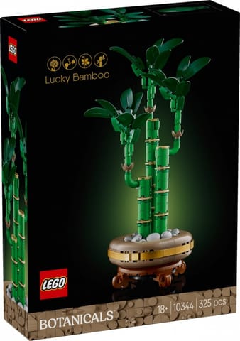 ⁨Blocks Botanicals 10344 Lucky Bamboo⁩ at Wasserman.eu