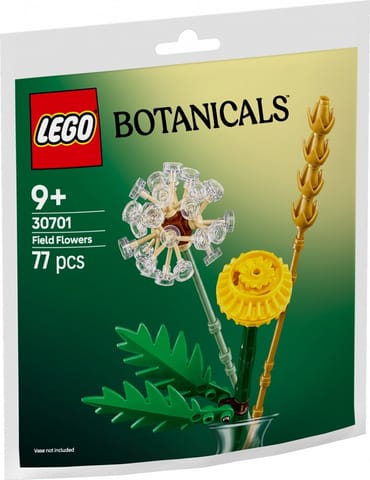 ⁨Bricks Botanicals 30701 Field Flowers⁩ at Wasserman.eu