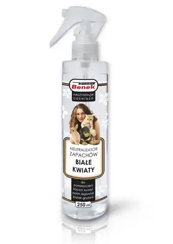 ⁨Certech 16656 pet odour/stain remover Spray⁩ at Wasserman.eu