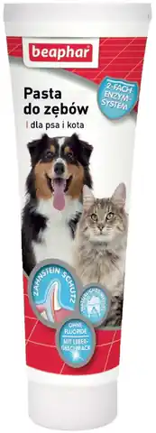 ⁨Beaphar pasta do zębów wątróbka dla psa i kota 100g⁩ w sklepie Wasserman.eu