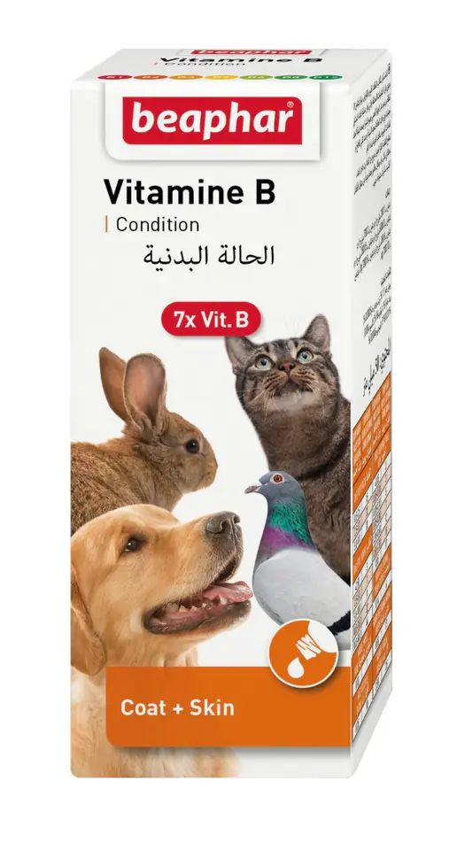 BEAPHAR Vitamin B Complex -7witamin z grupy B zwierzęta domowe 50ml w sklepie Wasserman.eu