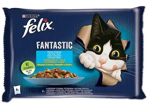 ⁨Felix Fantastic country flavors in jelly, salmon, trout with vegetables -(4x 85 g)⁩ at Wasserman.eu