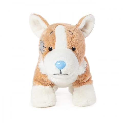 ⁨Mascot The friend of the blue nose - Corgi Queenie⁩ at Wasserman.eu
