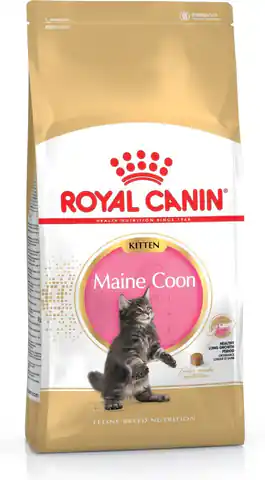⁨Royal Canin Maine Coon Kitten cats dry food Poultry,Rice 4 kg⁩ at Wasserman.eu