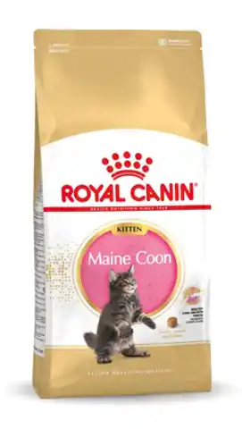⁨Royal Canin FBN Maine Coon Kitten - sucha karma dla kociąt - 10kg⁩ w sklepie Wasserman.eu