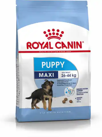 ⁨ROYAL CANIN SHN Maxi Puppy - sucha karma dla szczeniąt - 4kg⁩ w sklepie Wasserman.eu