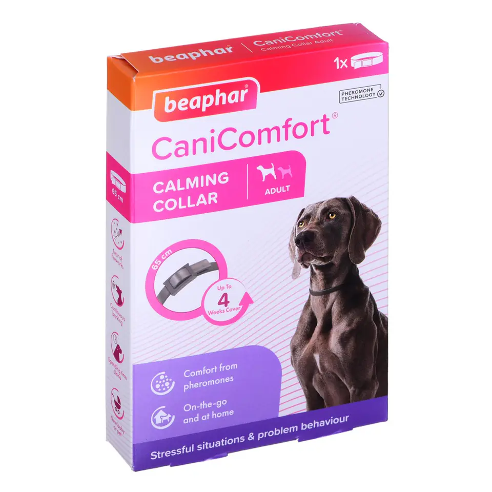 ⁨Beaphar collar with pheromones for dogs - 65 cm⁩ at Wasserman.eu