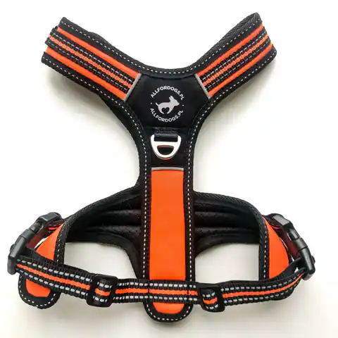 ⁨ALL FOR DOGS Braces 3x-Sport Orange XS⁩ at Wasserman.eu