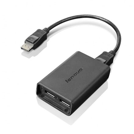 Lenovo 20 pin DisplayPort | żeński | 20 pin DisplayPort | męski w sklepie Wasserman.eu