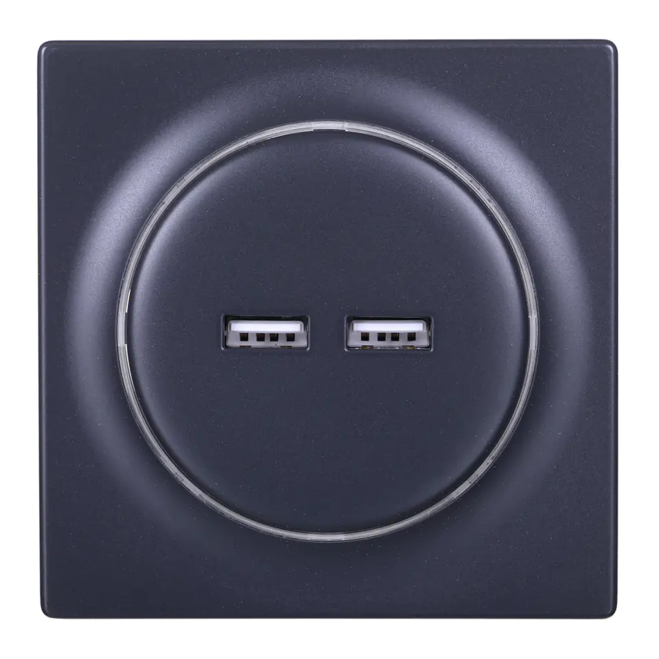 Fibaro FGWU-021-8 socket-outlet 2x USB Black at Wasserman.eu