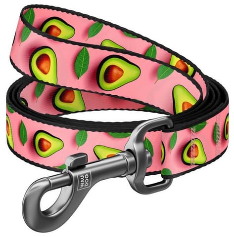 ⁨Collar WauDog Nylon Smycz nylonowa S 15mm/200cm, wzór AWOKADO NA RÓŻU⁩ w sklepie Wasserman.eu