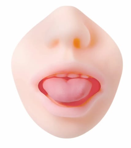 Evolved Real Mouth model anatomiczny z realistyczną powierzchnią 16 cm w sklepie Wasserman.eu