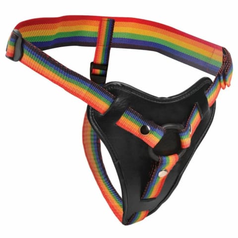 ⁨Take the Rainbow Uniwersalny pas uprzężowy z regulacją i podwojnym O-ringiem⁩ w sklepie Wasserman.eu