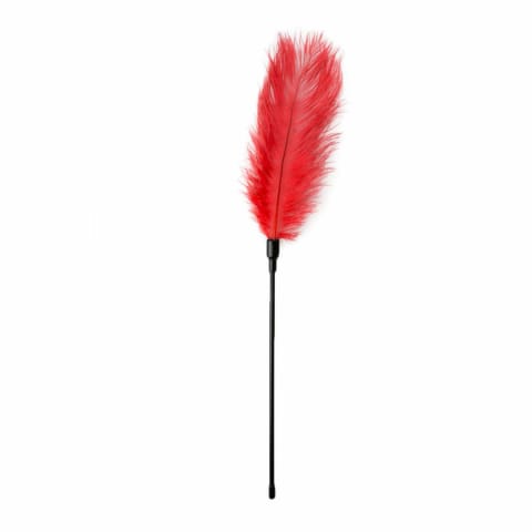 ⁨EasyToys Red Feather Tickler - czerwony piorko do zmysłowej stymulacji⁩ w sklepie Wasserman.eu
