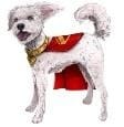 ⁨Superman Film: Interaktywny Krypto⁩ w sklepie Wasserman.eu