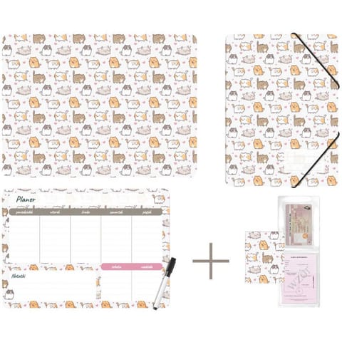⁨Zestaw szkolny z nadrukiem KITTENS KPL-NADRUK-01-35 BIURFOL⁩ w sklepie Wasserman.eu