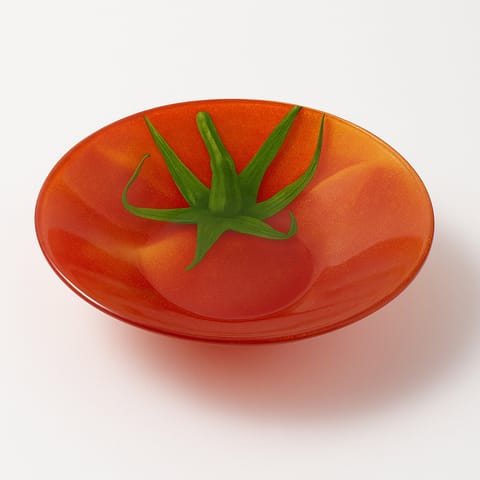 ⁨ARIA FRESH Naczynie pomidor 25x25xh5cm⁩ w sklepie Wasserman.eu
